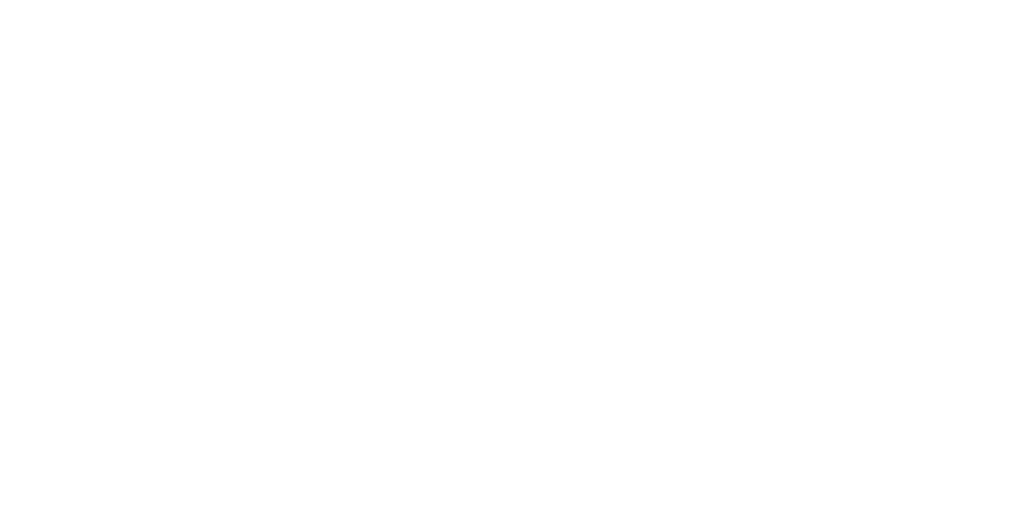 NeuroFlamma